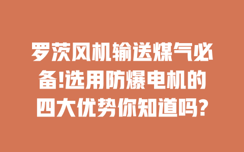 羅茨風(fēng)機(jī)輸送煤氣必備!選用防爆電機(jī)的四大優(yōu)勢(shì)你知道嗎? 一