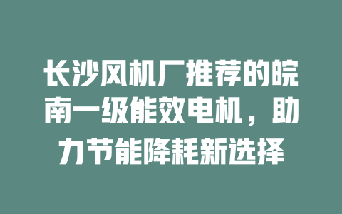 長沙風機廠推薦的皖南一級能效電機，助力節(jié)能降耗新選擇 一
